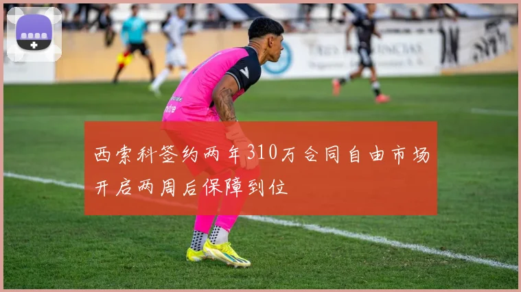 西索科签约两年310万合同自由市场开启两周后保障到位