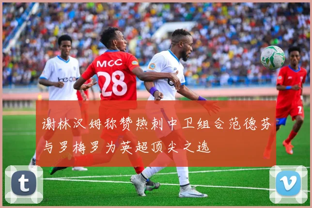 谢林汉姆称赞热刺中卫组合范德芬与罗梅罗为英超顶尖之选