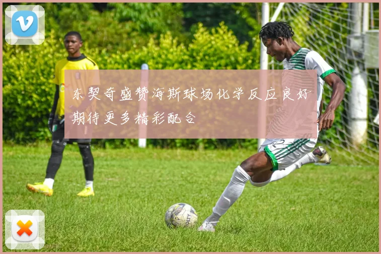 东契奇盛赞海斯球场化学反应良好期待更多精彩配合