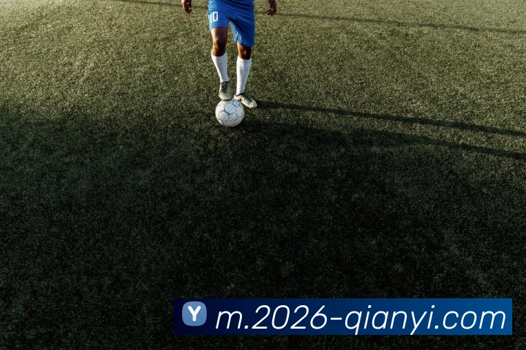 千亿体育平台生态图